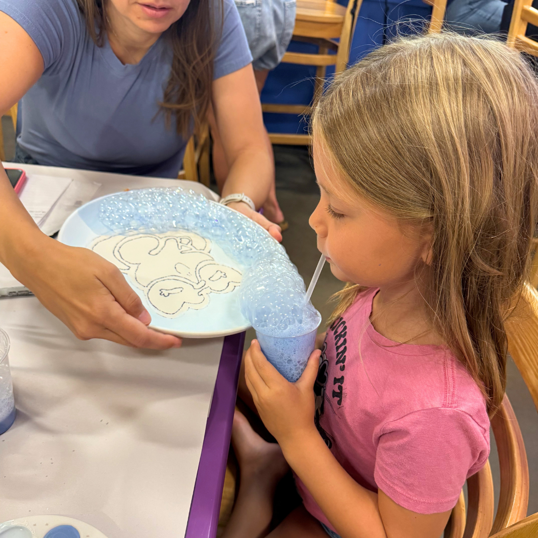 Capybara Bubble Plate Summer Class