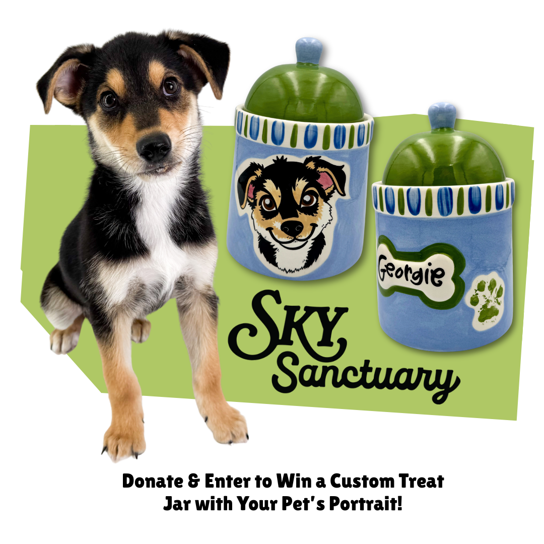 Sky Sanctuary Raffle Donation