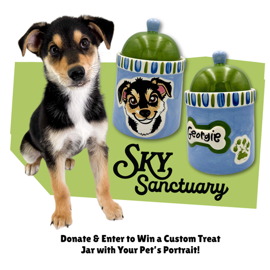 Sky Sanctuary Raffle Donation