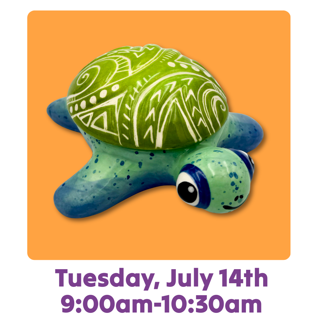Te Fiti Turtle Box Summer Class